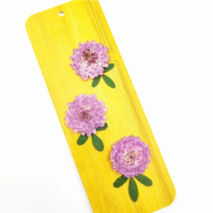 24pcs,Natural Pressed Flowers Real Dried Chrysanthemum,DIY Art Craft Valentines gift Bookmark Decoration,Scented candle decor