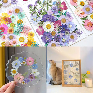 1Bag Dried Flowers UV Resin Filling DIY Epoxy Resin Mold Pendant Jewelry Decorative Natural Pressed Flower Art Floral Decors